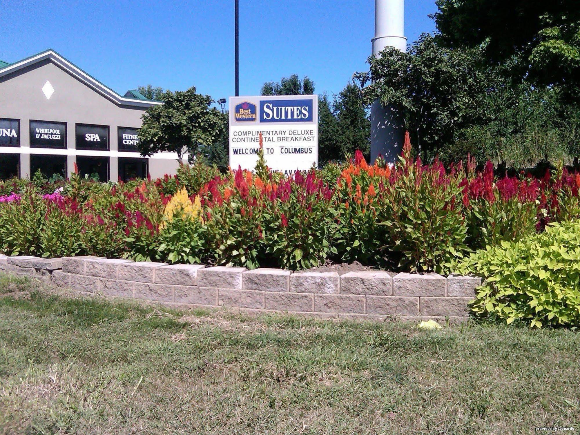 Best Western Suites Columbus Esterno foto